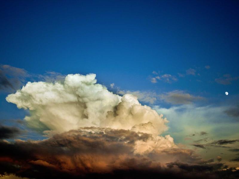 素材方舟<br>4K 无水印资源批量下载